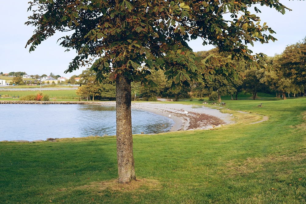 Sverd i Fjell / Swords in the Rock in Stavanger